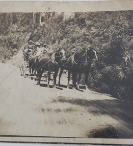 Photograph - Coach on Timboon - Peterborough Road