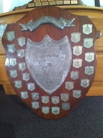 Memorabilia - The Schomberg Cup Honour Board