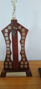 Plaque - The Michelle Ryan Day Stroke Event