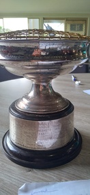 Memorabilia - Peterborough Golf Club Ladies Championship Trophy