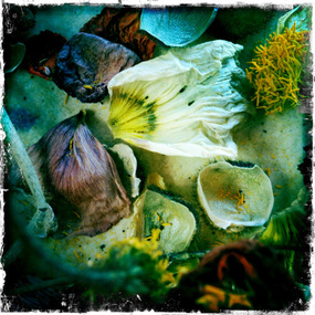 Photograph: Dena ASHBOLT (b.UK, arrived 1982 AUS), Dena Ashbolt, Countless Daughters, 2012