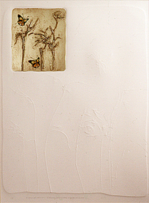 Print (Embossed): Ona Wendi HENDERSON, A Special Corner...Eltham Copper Butterfly and Kangaroo Grass