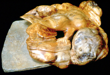 Sculpture: Peter CARRIGY, Platypus
