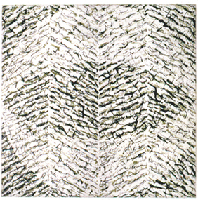 Print (etching): Martin KING, Kalumburu