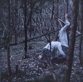 Photograph: Charlie SUBLET, Tree Hugger
