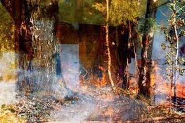 Photograph: Sue FORD (b.1943-d.2009 AUS), Metamorphosis II