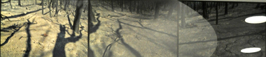 Photograph: Lloyd GODMAN, From Kinglake Towards St. Andrews - Feb 17, 2009 (from the series ENTROPHY)