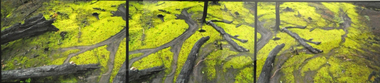 Photograph: Lloyd GODMAN, On a Walk from Kinglake to Steels Creek - June 23, 2009 (from the series ENTROPHY)