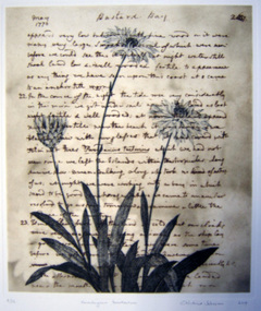 Print (solar engraving): Christine JOHNSON