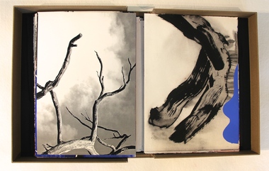 Artist Book: Theo STRASSER, Ghost Bones, 2017