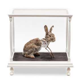 Julia deVILLE, As above, So below, 2018
