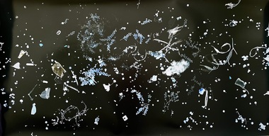 Found objects including rubbish (thoroughly cleaned), floral and faunal debris were collected whilst walking along the Birrarung and Diamond Creek in Eltham and were scattered over light sensitive colour paper to create this photogram. The physical imprint of these objects, at their original scale, is recorded on the photographic paper. Objects - wattle, bread tags, gum leaves, ring pulls - emerge in whites, blues and browns on a background of black.