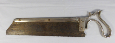 Amputation Saw