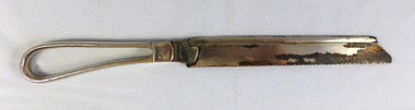 Amputation Saw