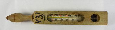 Bath Thermometer