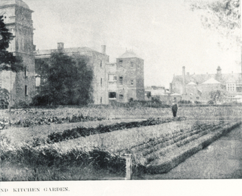 c.1901 Kitchen Garden - in Sovereign Remedies