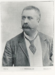 James John Fitzgerald (1845-1895)