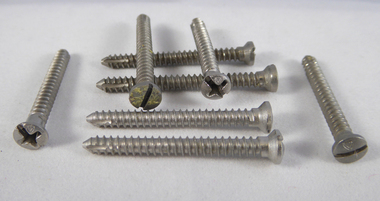 Orthopaedic Screws in Glass Container