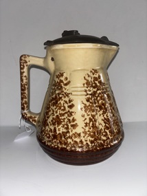 Domestic object - Wynard Electric Jug