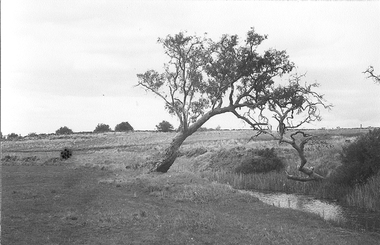 Photograph - Kororoit Creek Photographs