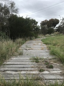 Photograph - Lions Club Reserve Kororoit Creek Deer Park Photographs, John Alchin, 2021