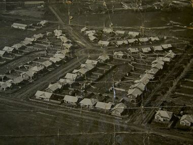 Photograph - Land in Albion for soldiers settlement after WWI Photograph, [1920]