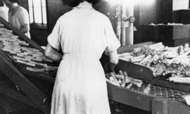 Photograph - Sorting explosives ICI photo, [1930]