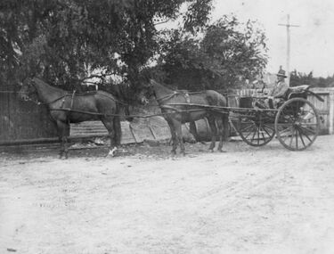 Photograph - Two horse gig photo
