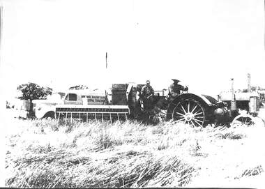 Photograph - John Deere tractor and Taylor header, 1940
