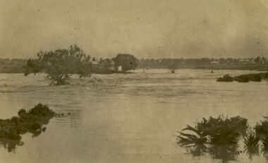 Photograph - Kororoit Creek in flood, 1919