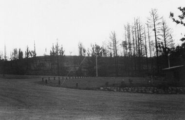 Photograph - Burnt trees Ash Wednesday Fires, 1983