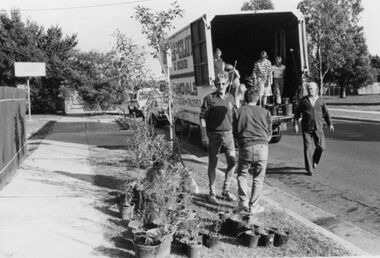 Photograph - Volunteers helping in replanting Ash Wednesday Fires, 1983