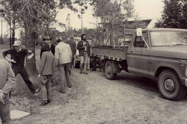 Photograph - Volunteers replanting Ash Wednesday Fires, 1983