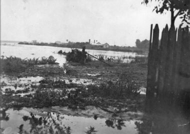 Photograph - Kororoit Creek in flood 1919 Photograph, 1919