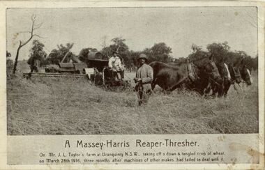 Photograph - Massey Harris Reaper Thresher at work in a wheat field, 1916