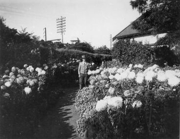 Photograph - Sunshine Gardens, [mid-late 1940s]