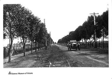 Postcard - Talmage Street Early Albion