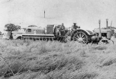 Photograph - Massey Harris tractors, 1940s