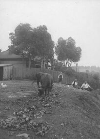 Photograph - Home of Kelly family Maribyrnong Photograph, [circa 1920s]