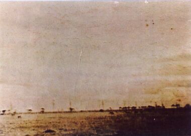 Photograph - Ardeer landscape