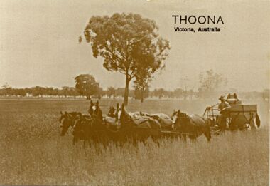 Postcard - Harvester And Auto Header Postcards