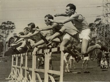 Photograph - Hurdlers - Pippett, G, n.d
