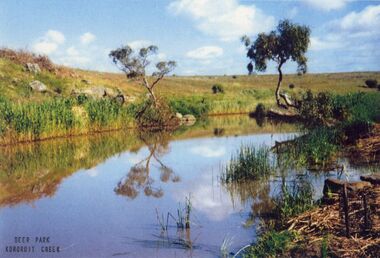 Photograph - Kororoit Creek, Johnson, Des, 1993