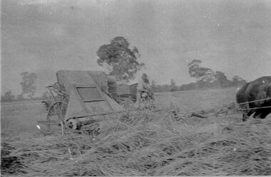 Photograph - Range of McKay machinery