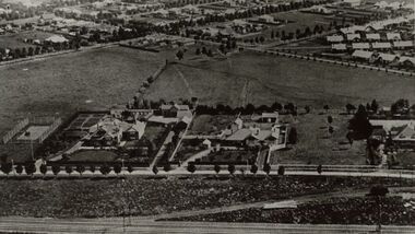 Photograph - Housing on Talmage Street in the 1920s, 1920s