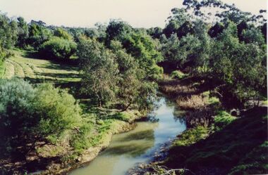 Photograph - Kororoit Creek flood in 2001, 2001