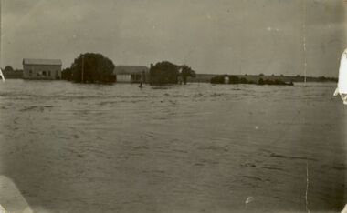 Postcard - Postcard of Kororoit Creek flood, 1919