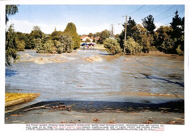 Photograph - Kororoit Creek in flood, Des Johnson, Copy March, 2013