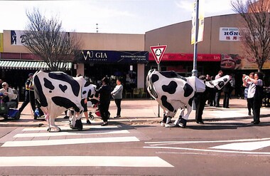 Photograph - John Kelly Sculpture unveiling day of the Man Lifting Cow Statue, Melchior Bajada, 6/09/2016 12:00:00 AM