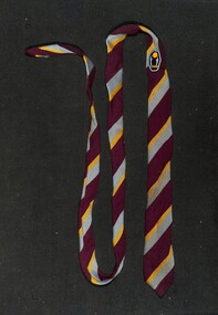 Memorabilia - Sunshine High School necktie and "Seek Light" lapel badge